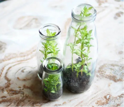 Reusable Glass Bottles